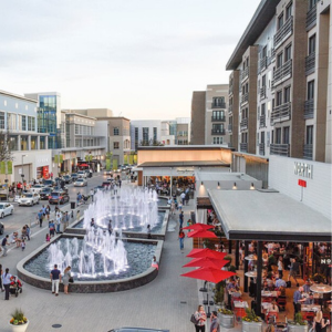 Fun and Surprising Facts About In  Plano