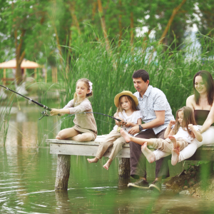Complimentary Attractions In Red Oak