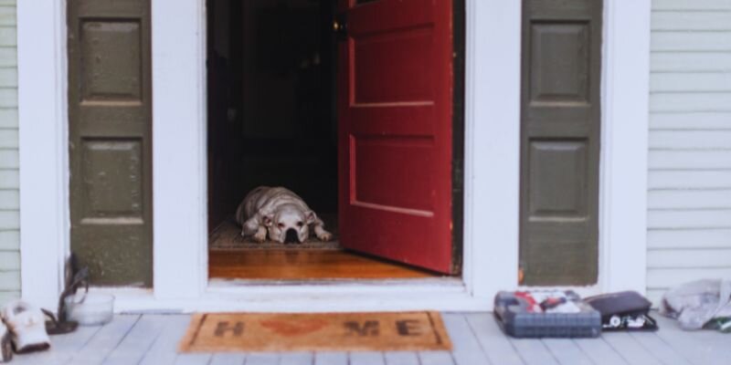 Selling a House with Pets [market_city]