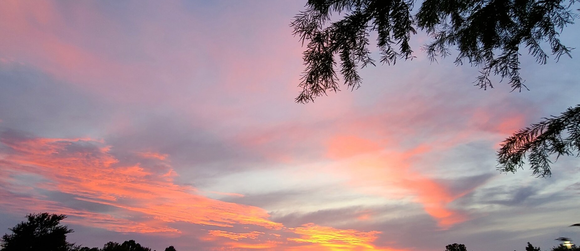 Fun-Things-to-Do-with-Kids Plano