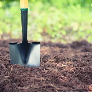 Sell House with termites for cash Texas