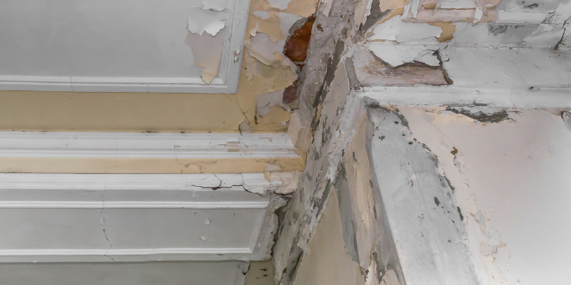 Selling Your House With Water Damage Texas
