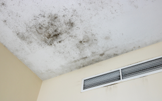 Sell House With Mold In Texas