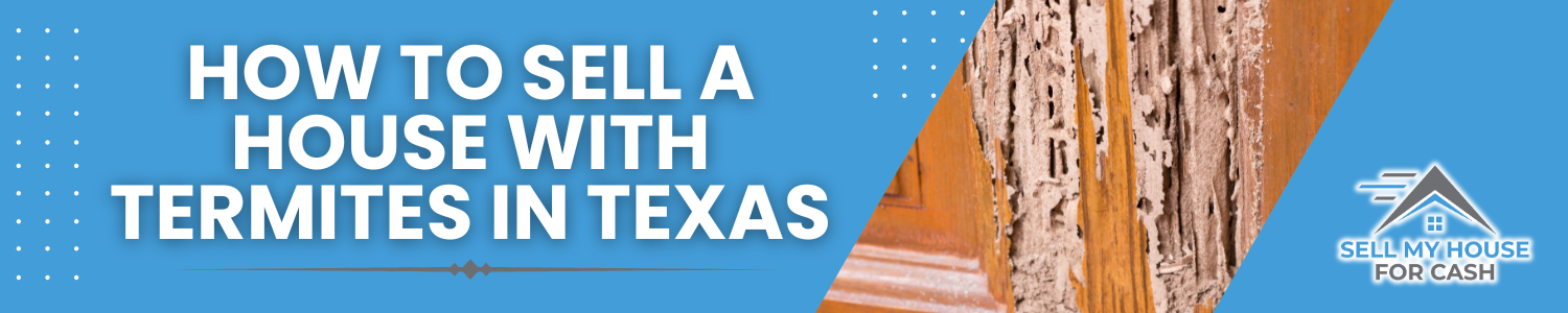 How To Sell A House With Termites In Texas BANNER Texas