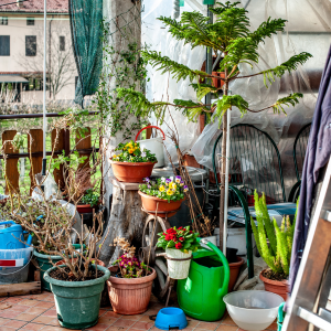 Ways to Tackle a Hoarder House In Texas