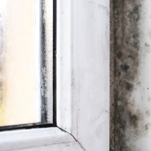 Sell House With Mold in Dallas