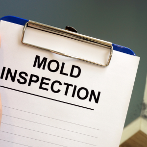 Sell My House With Mold in Dallas