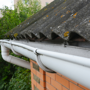 House Asbestos Testing Cost In Texas