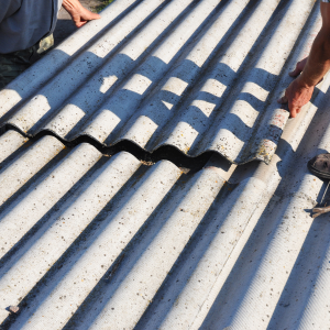 Price for Asbestos Testing in a House In Texas