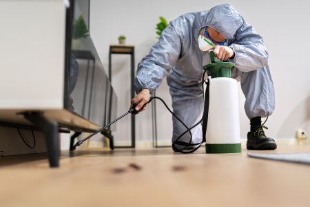 Termite Treatment Costs for Your Home In Texas