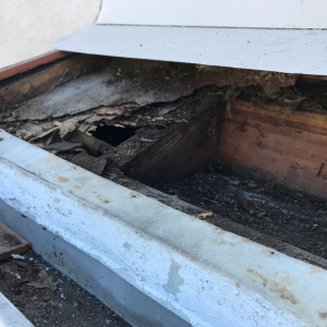 The seller did not inform about termite damage in Texas