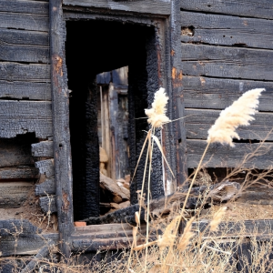 Fire Damage Repair for Homes In Texas
