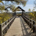 Top Activities for Kids Plano