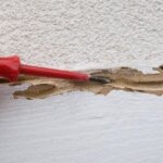 How to Sell a House with Termite Damage in Irving, TX