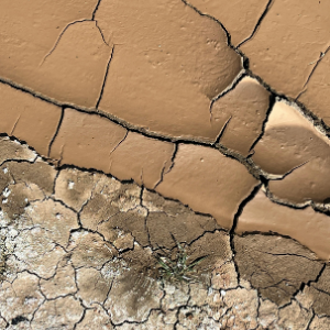 How to sell house with foundation issues Dallas