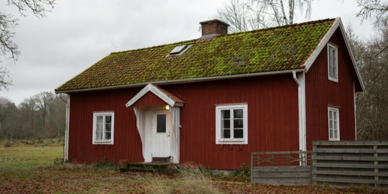 Understanding the Challenges of Selling a Hoarder House in Texas