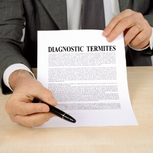 Do Termite Bonds Affect Home Sales in Texas