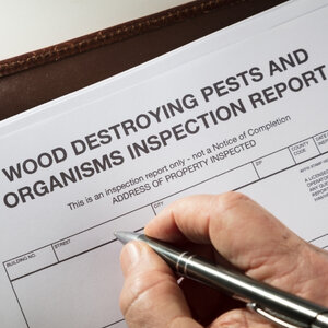 Sell House with termites for cash