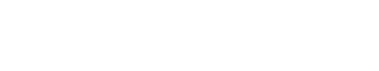 Notary Pin logo