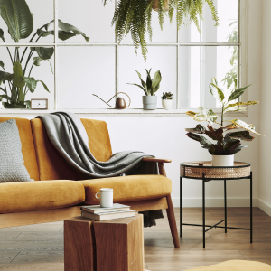Sell My House cash home staged