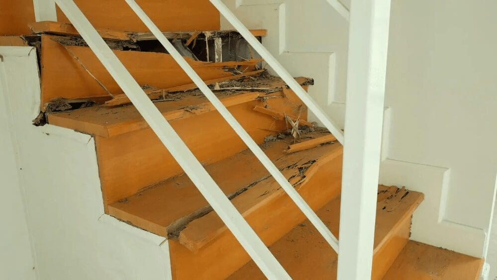 Selling A House With Termite Damage In