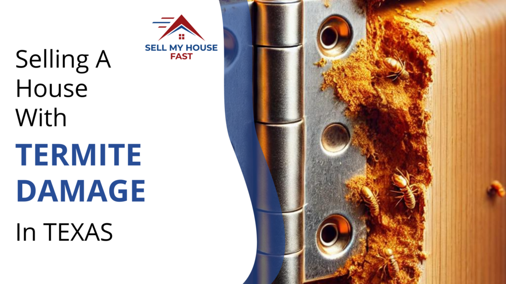 Selling A House With Termite Damage in