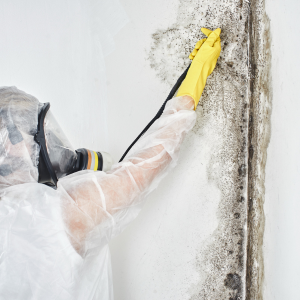 A Guide to Selling Mold Affected Homes Texas