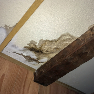 Selling a Home with Mold Damage Texas