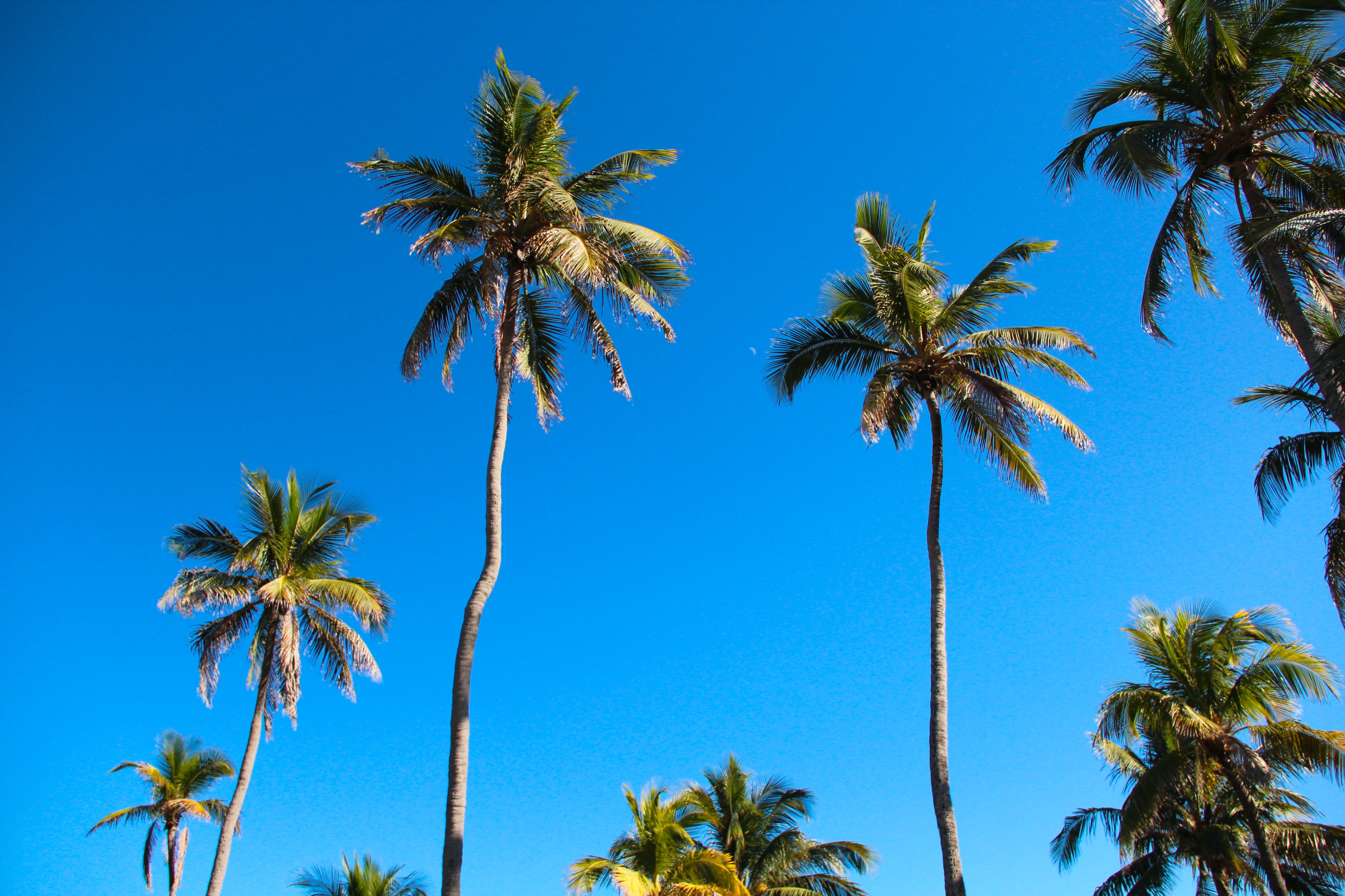 Tampa FL Wholesale Real Estate Deals | Reivesti