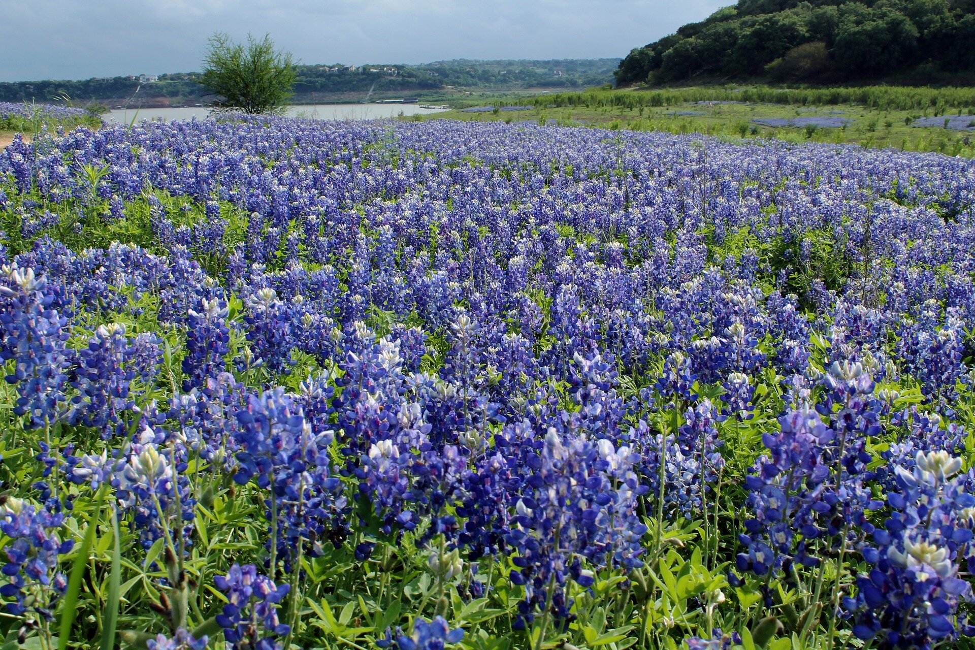 Round Rock TX Investment Properties - Reivesti Real Estate
