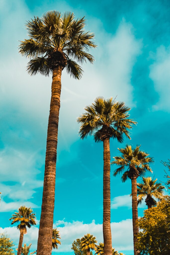 Phoenix AZ Wholesale Real Estate | Reivesti