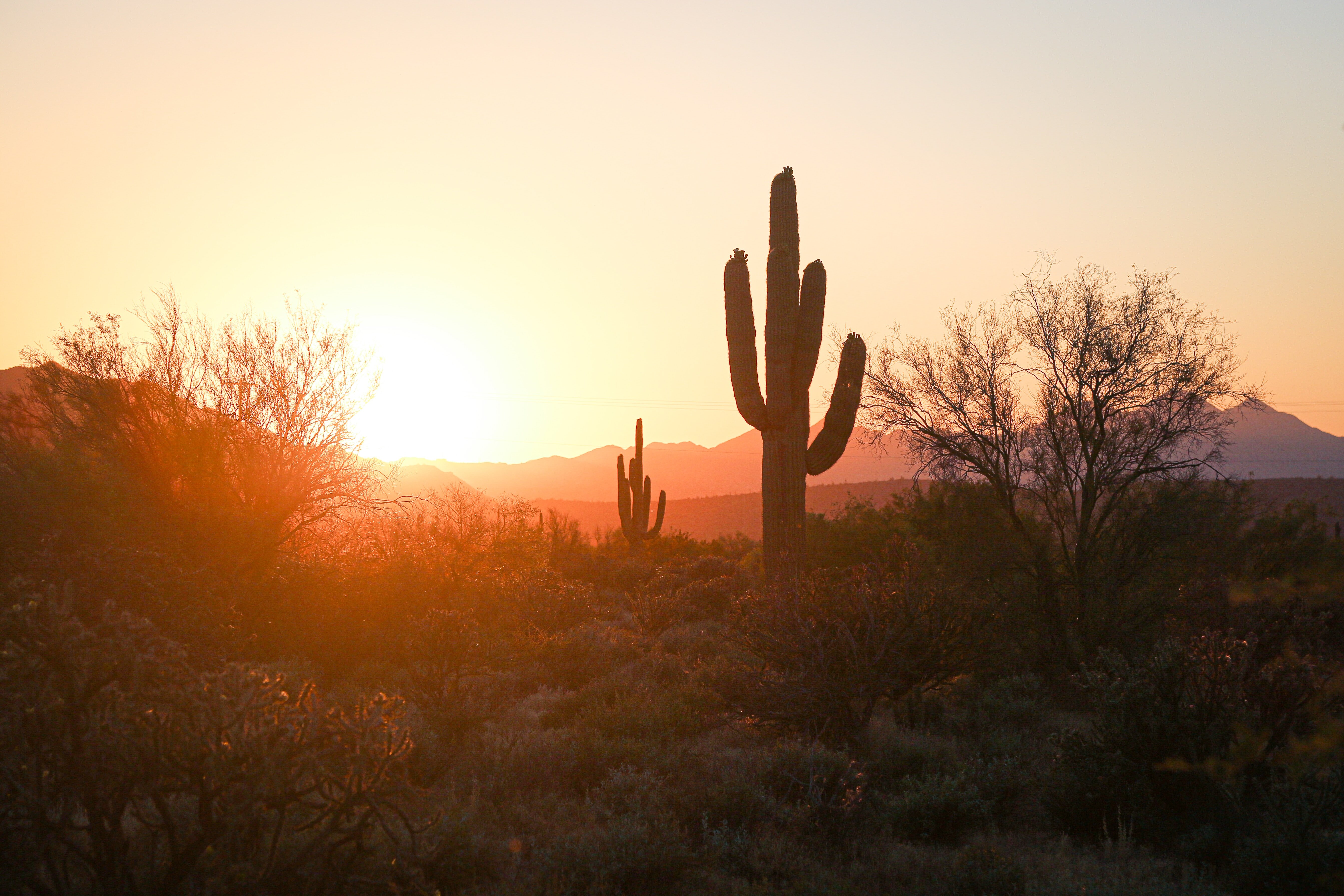Phoenix AZ Wholesale Real Estate | Reivesti