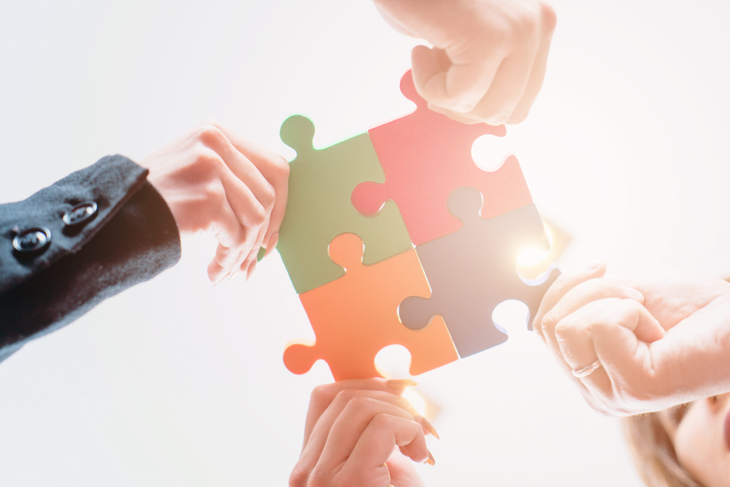 4 person wholesaling team