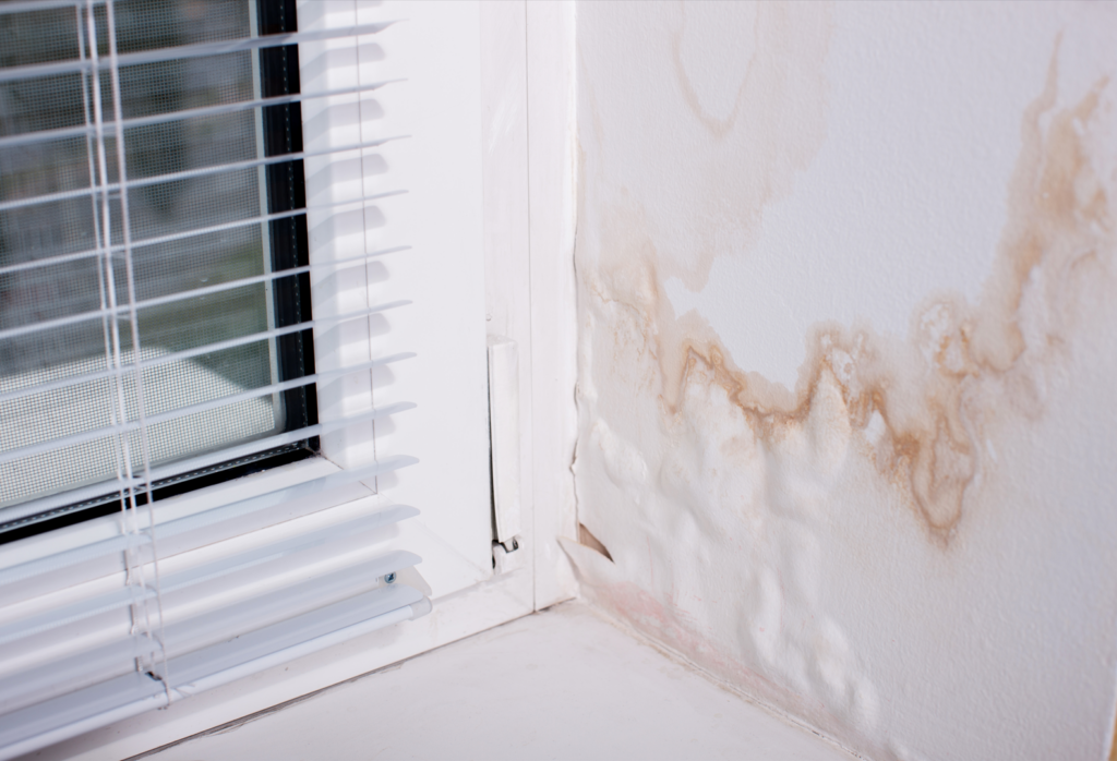 Selling A House With Mold In Oklahoma