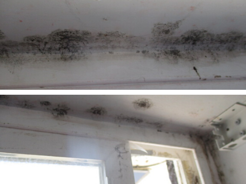 Selling A House With Mold In Oklahoma