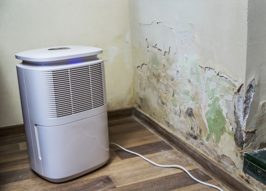 Selling A House With Mold In Oklahoma