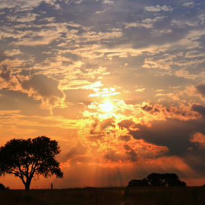 Budget-Friendly Things to Do Oklahoma City, OK