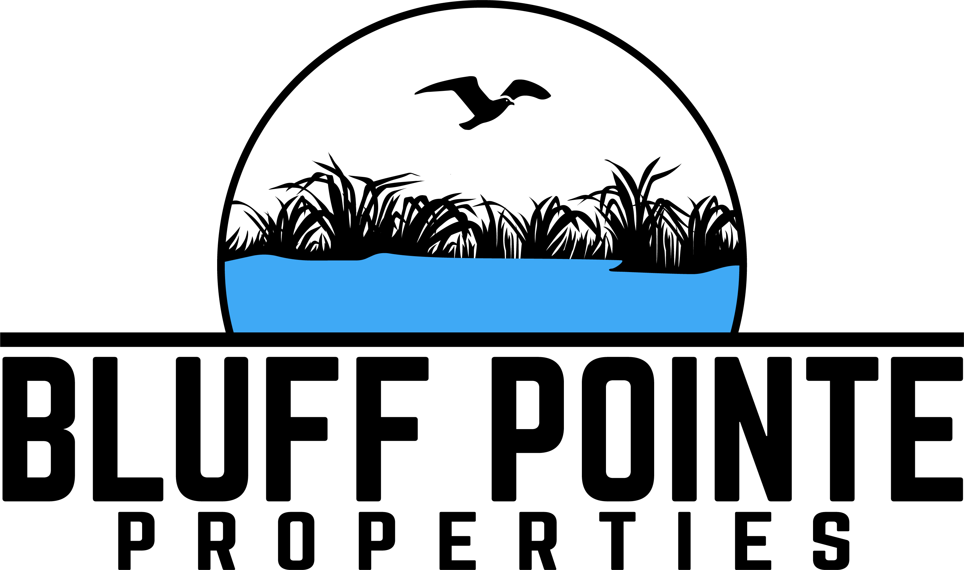 Bluff Pointe Properties – Local Home Buyer logo