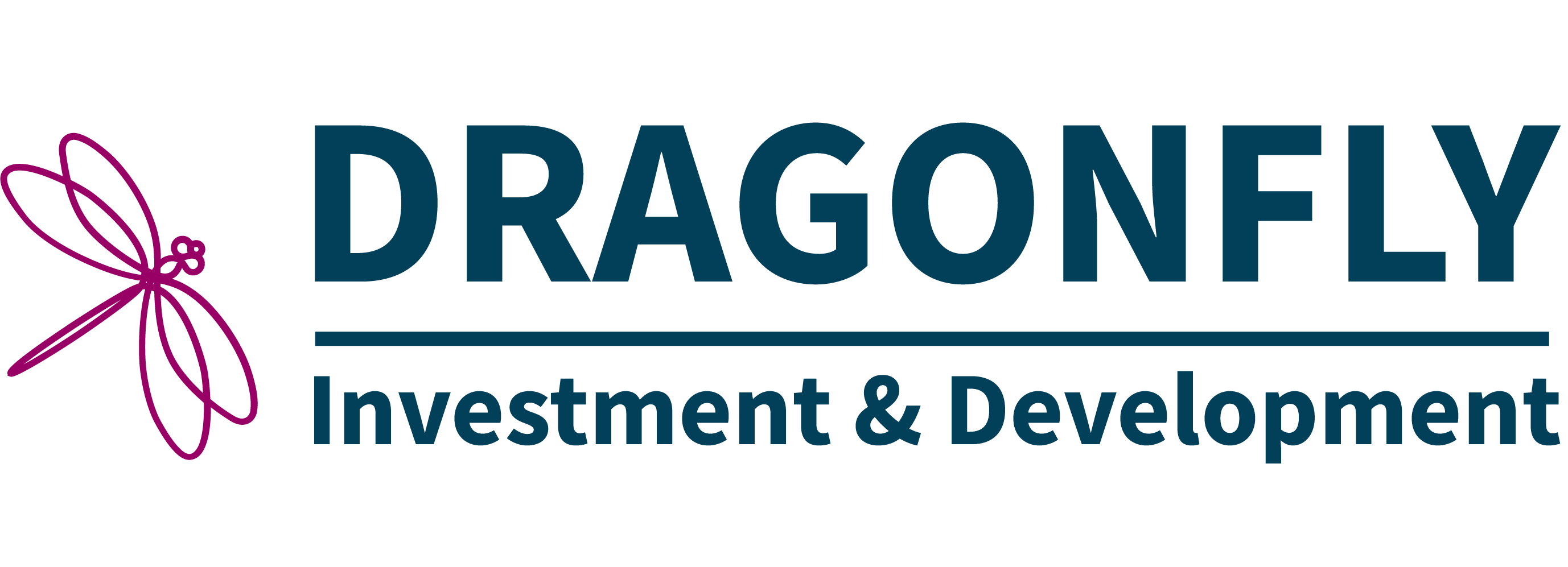 Dragonfly Investment and Development logo