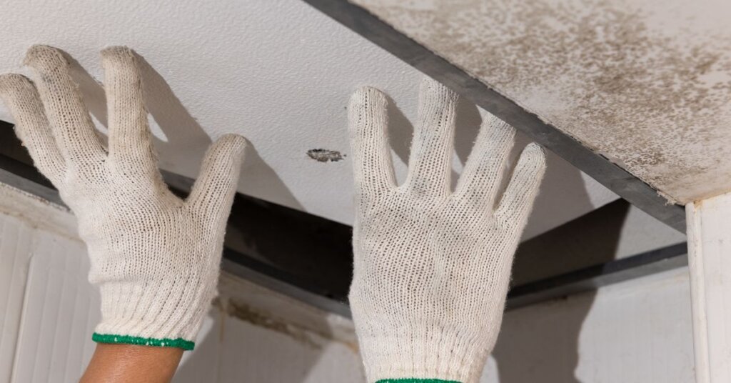 Fixing the Leaky Roof before selling