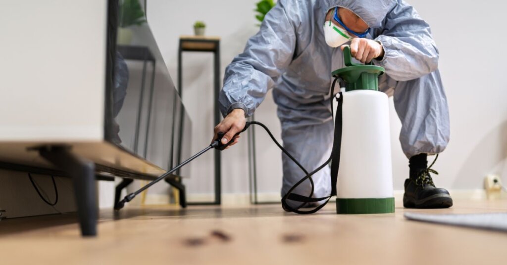 Treat the Termite Problem