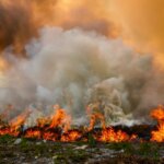 Wildfire in California Seaons