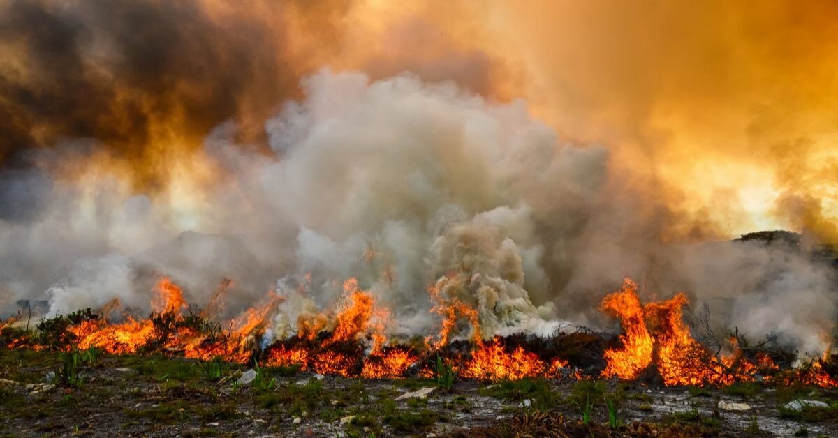 Wildfire in California Seaons