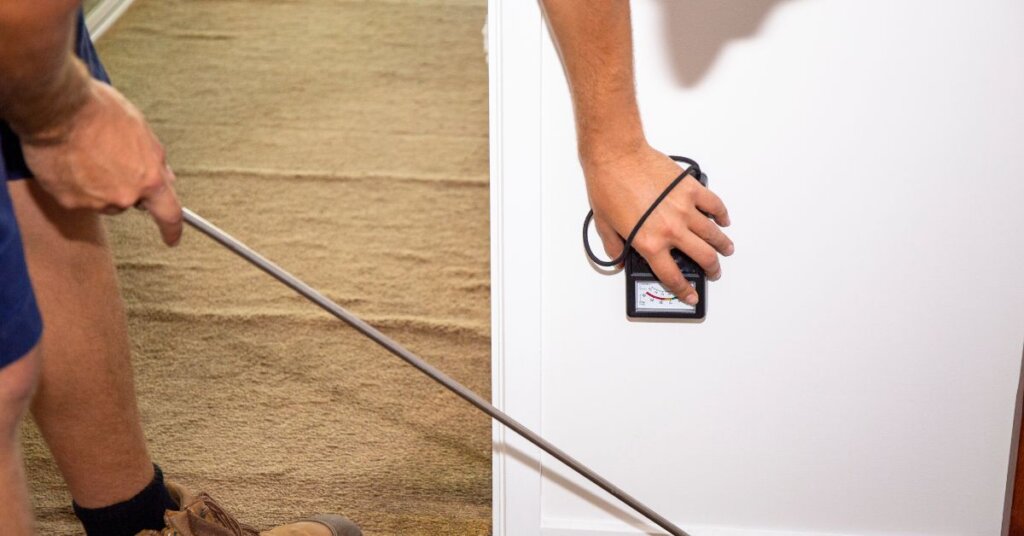 How Termite Inspection