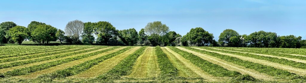 signs it’s time to sell your land
selling unwanted land for cash
cash buyers for vacant land