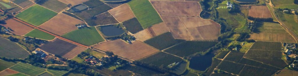 Image of landlocked property for article by 1800lOTS on how to sell land with no road access.