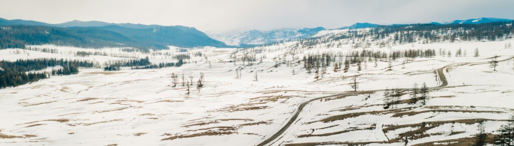 1800LOTS helps landowners sell vacant lot and lands during the winter.
