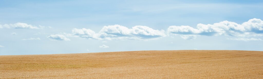 sell undeveloped land with no utilities
land with no water or electricity 
cash buyers for undeveloped land