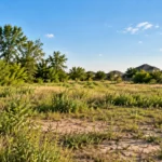 Reputable Land Buyer Houston