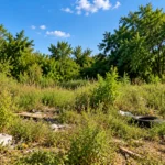 How Cash Buyers Calculate Land Offers in Houston Main Factors
